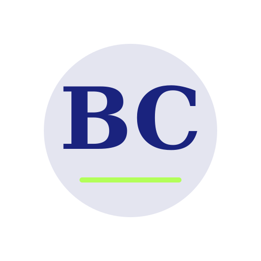 Brock Chimney Service logo